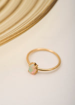 Pince d'opale en or - Corail Blanc