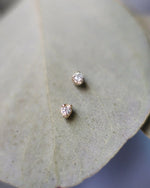 Solid Gold Diamond Earrings - Corail Blanc
