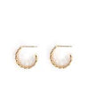 Cubano Hoop Earrings in Gold - Corail Blanc