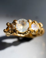 Orbit Ring - Corail Blanc