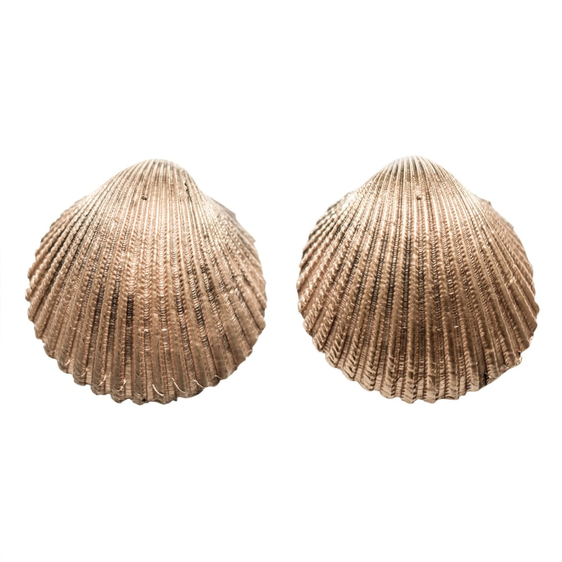 Hypatia Earrings - Corail Blanc